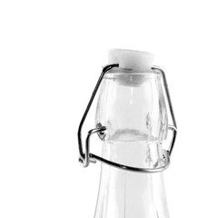 Стеклянная бутылка, 0.53 л цена и информация | Столовые и кухонные приборы | kaup24.ee