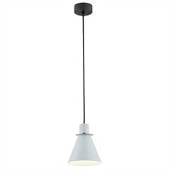 Argon подвесной светильник Beverly 4683 цена и информация | Люстры | kaup24.ee