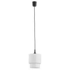 Argon подвесной светильник Newa 3269 цена и информация | Люстры | kaup24.ee