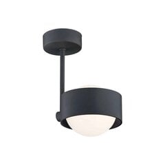 Argon подвесной светильник Massimo Plus 8060 цена и информация | Люстры | kaup24.ee
