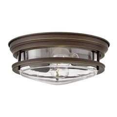 Elstead lighting потолочный светильник Hadrian цена и информация | Потолочные светильники | kaup24.ee