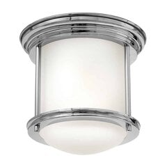 Elstead lighting laelamp Hadrian hind ja info | Laelambid | kaup24.ee