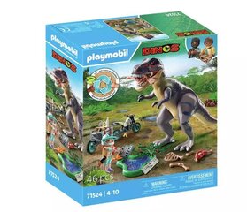 71524 Playmobil® Dinos, dinosaurused цена и информация | Конструкторы и кубики | kaup24.ee