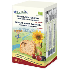 Mini riivsai jõhvikate ja rosinatega Fleur Alpine Organic, 100 g цена и информация | Закуски, чипсы | kaup24.ee