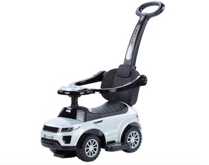 Käepidemega laste tõukeauto, valge-must hind ja info | Imikute mänguasjad | kaup24.ee