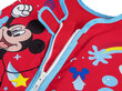 Ujumisvesti lastele Bestway Mickey Mouse цена и информация | Mänguasjad (vesi, rand ja liiv) | kaup24.ee