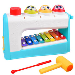 Ксилофон с аксессуарами 2 в 1 цена и информация | Развивающие игрушки | kaup24.ee