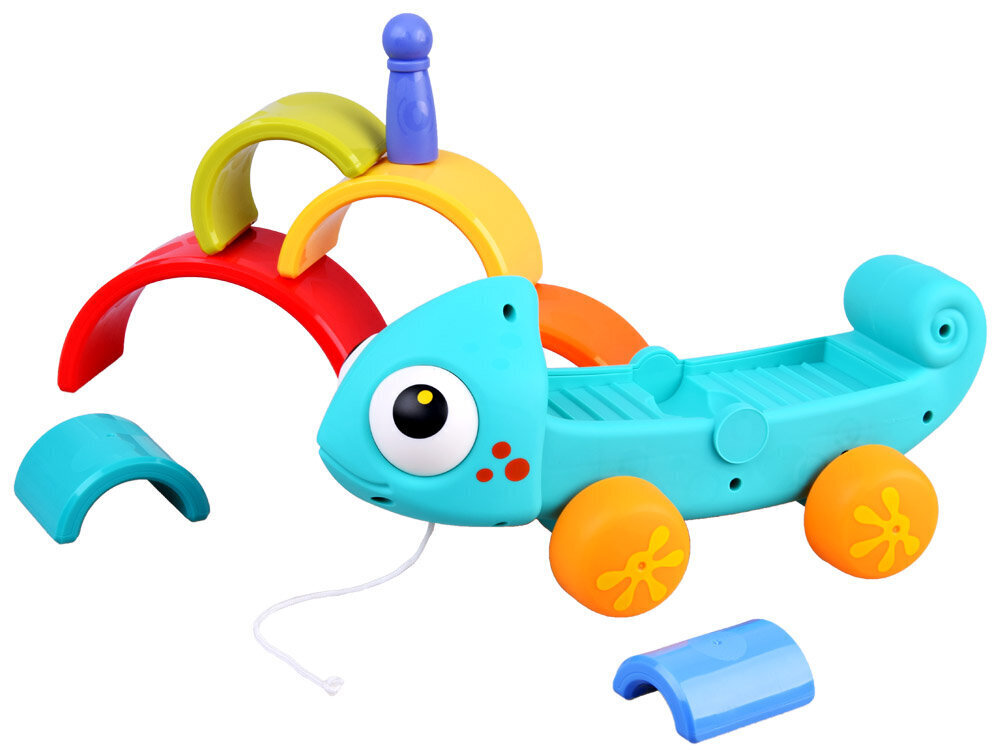 Montessori kameeleon puzzle hind ja info | Arendavad mänguasjad | kaup24.ee