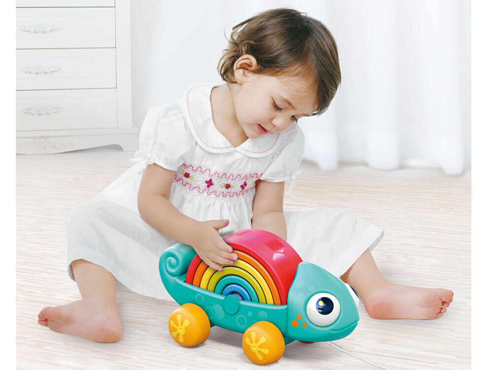 Montessori kameeleon puzzle hind ja info | Arendavad mänguasjad | kaup24.ee