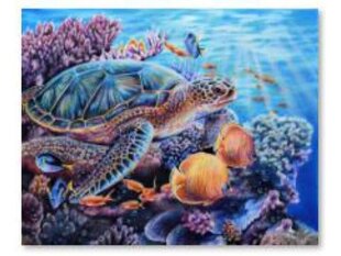 Teemantmosaiik korall 40x30cm цена и информация | Алмазная мозаика | kaup24.ee