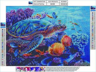 Teemantmosaiik korall 40x30cm цена и информация | Алмазная мозаика | kaup24.ee