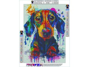 Teemant tikand, teemantmaal, teemant mosaiik, DOG IN COLOUR 30x40cm hind ja info | Teemantmaalid, teemanttikandid | kaup24.ee