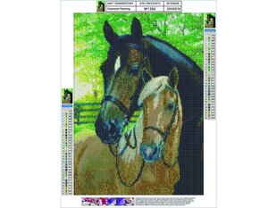 Teemant tikand, teemantmaal, teemant mosaiik, HORSES 30x40cm hind ja info | Teemantmaalid, teemanttikandid | kaup24.ee