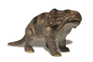 Plastikmudel kokku liimimiseks Lindberg (USA) Dinosaurus Protoceratops hind ja info | Liimitavad mudelid | kaup24.ee