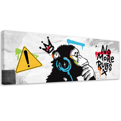 Seinapilt Banksy DJ ahv hind ja info | Seinapildid | kaup24.ee