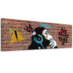 Seinapilt Banksy DJ ahv hind ja info | Seinapildid | kaup24.ee