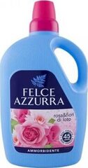 Pesuvahend Felce Azzurra, 3 l цена и информация | Средства для стирки | kaup24.ee