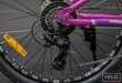 Jalgratas noortele Gust Wave, 24'', roosa hind ja info | Jalgrattad | kaup24.ee
