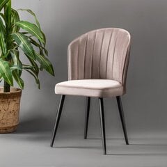 2-tooli komplekt Kalune Design Rubi, beež hind ja info | Söögilaua toolid, köögitoolid | kaup24.ee