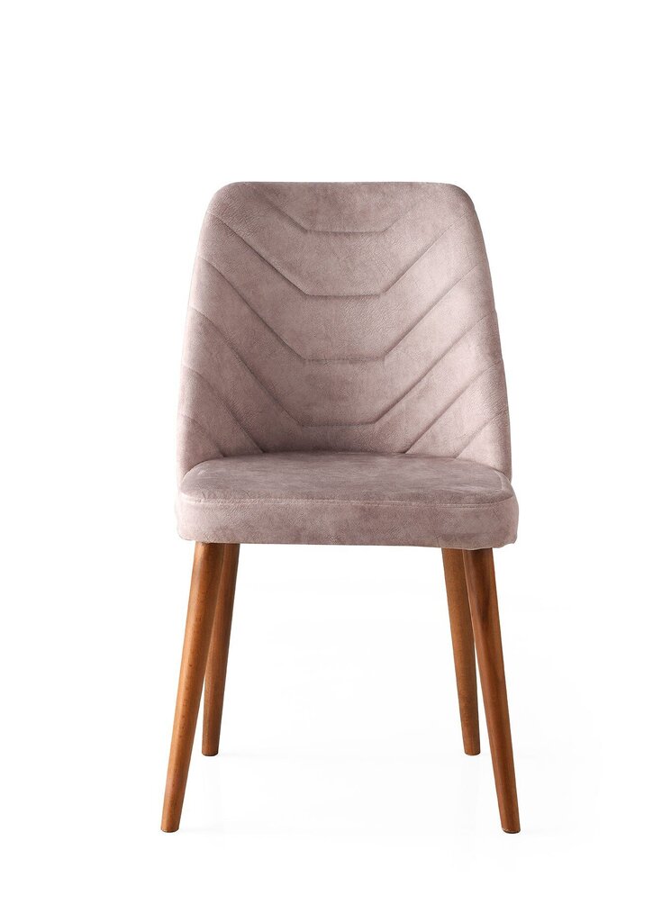 2-tooli komplekt Kalune Kalune Design Dallas 555, beež/pruun цена и информация | Söögitoolid, baaritoolid | kaup24.ee