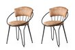 2-tooli komplekt Kalune Design Istanbul 268, beež/must цена и информация | Söögitoolid, baaritoolid | kaup24.ee