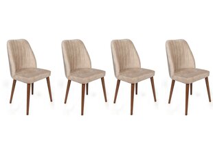 4-tooli komplekt Kalune Design Alfa-464, pruun/liiv hind ja info | Söögilaua toolid, köögitoolid | kaup24.ee