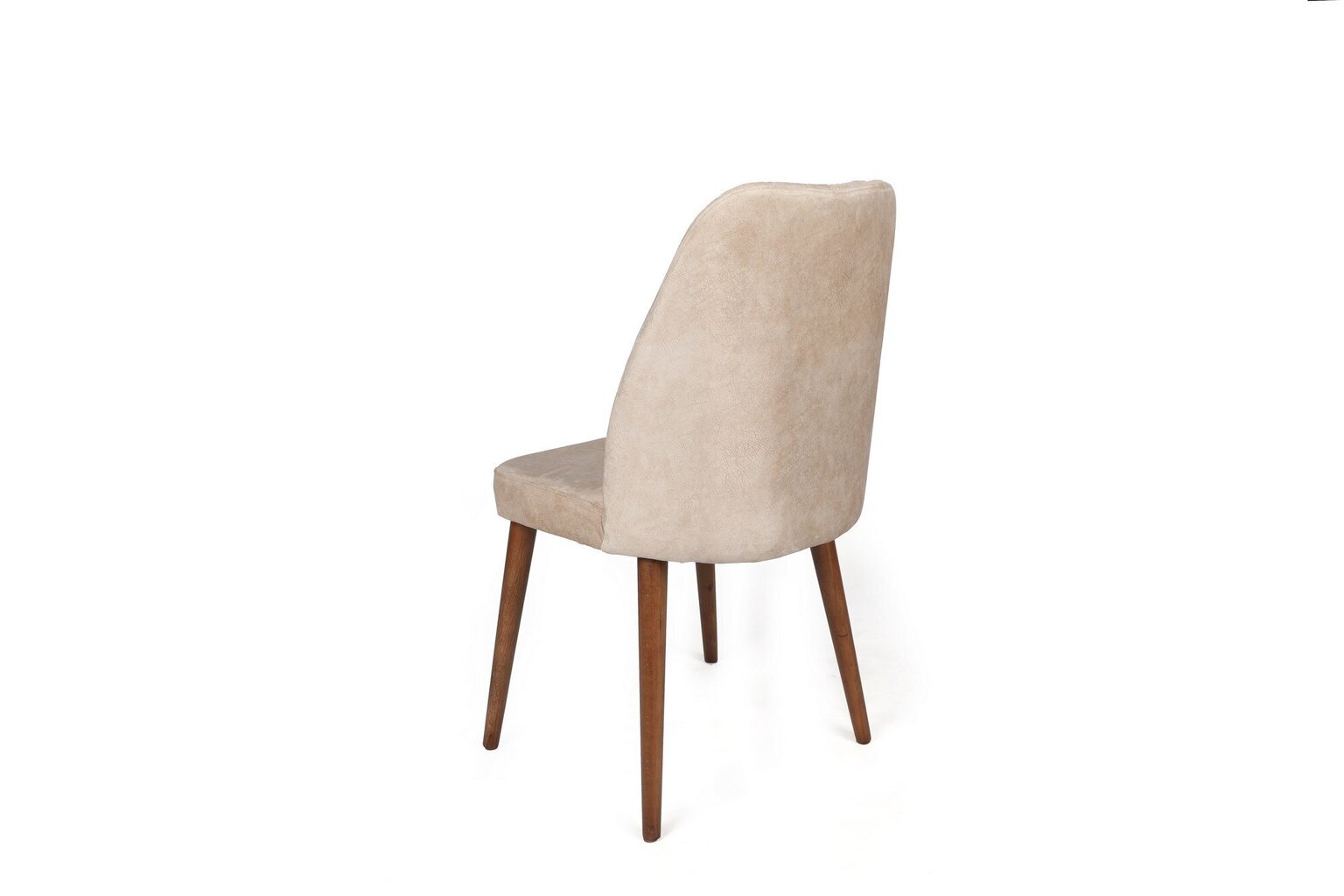 2-tooli komplekt Kalune Design Alfa-464, pruun/liiv цена и информация | Söögitoolid, baaritoolid | kaup24.ee
