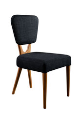 2-tooli komplekt Kalune Design Palace, hall/pruun hind ja info | Söögitoolid, baaritoolid | kaup24.ee