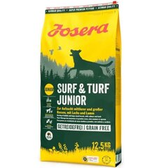 Josera Surf&Turf для средних и крупных пород с бараниной и лососем, 12.5 кг цена и информация |  Сухой корм для собак | kaup24.ee