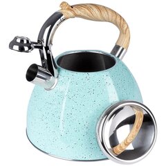 Чайник из нержавеющей стали, 3 л цена и информация | Чайники, кофейники | kaup24.ee