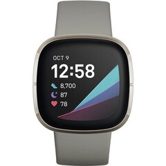 Fitbit Sense Sage Grey/Silver цена и информация | Смарт-часы (smartwatch) | kaup24.ee