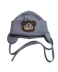 Kevad-sügis müts poistele Fido, hall цена и информация | Шапки, перчатки, шарфы для мальчиков | kaup24.ee