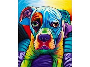 Maalimine numbrite järgi Bulldog 40x50cm hind ja info | Maalid numbri järgi | kaup24.ee