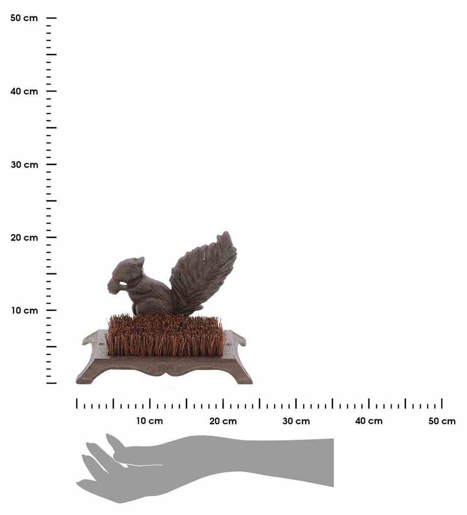 Sisseehitatud jalatsihari Squirrel цена и информация | Rõivaste ja jalatsite hooldus | kaup24.ee