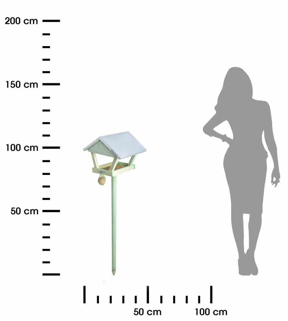Seisev lindude toitja, roheline цена и информация | Pesakastid, söötjad ja puurid | kaup24.ee