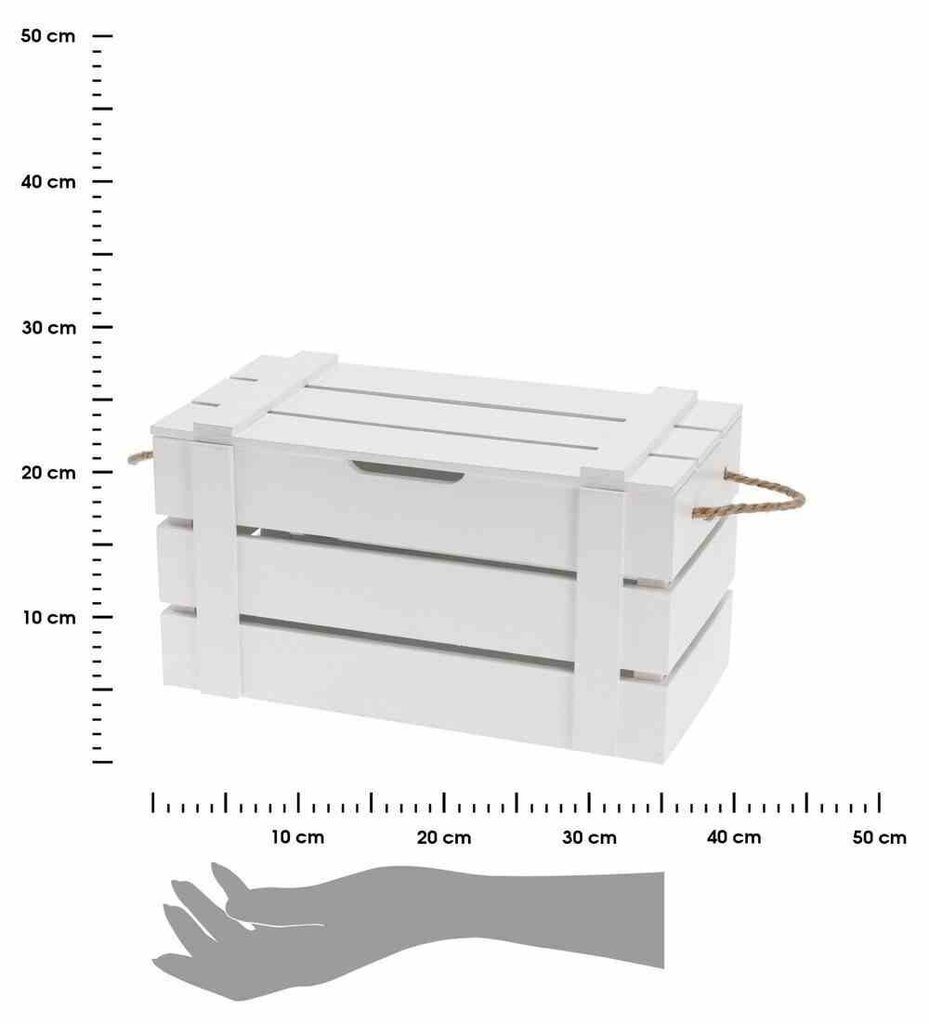 Hoiukast, 36x19x19 cm hind ja info | Hoiukastid ja -korvid | kaup24.ee