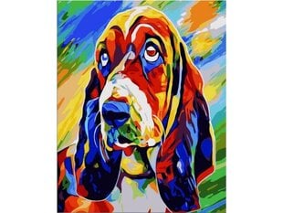 maalimine numbrite kaupa 40x50cm BASSET HOUND - KOER VÄRVILINE цена и информация | Живопись по номерам | kaup24.ee