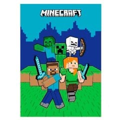 Fliispleed Minecraft hind ja info | Voodikatted, pleedid | kaup24.ee