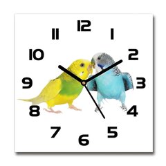Seinakell Papagoid цена и информация | Часы | kaup24.ee