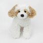 Plüüsist koer Smiki, 23 cm цена и информация | Pehmed mänguasjad | kaup24.ee