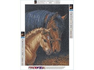 Teemantmosaiik Hobused 30x40cm hind ja info | Teemantmaalid, teemanttikandid | kaup24.ee