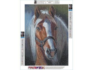 Teemantmosaiik Hobune 30x40cm hind ja info | Teemantmaalid, teemanttikandid | kaup24.ee