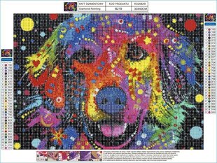 Teemantmosaiik Abstraktne koer 40x30cm цена и информация | Алмазная мозаика | kaup24.ee