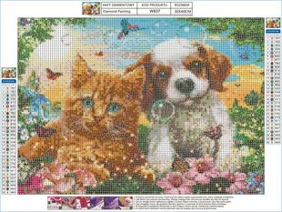 Teemant tikand, Teemantmaal, Teemant mosaiik, FRIENDS 40x30cm hind ja info | Teemantmaalid, teemanttikandid | kaup24.ee