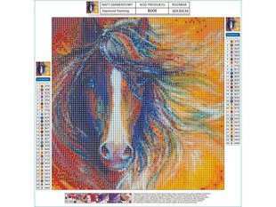 Suur teemant tikand, teemantmaal, teemant mosaiik, ABSTRAKIC HORSE 40x40cm hind ja info | Teemantmaalid, teemanttikandid | kaup24.ee