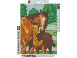 Teemant tikand, pilt, teemantmaal, teemant mosaiik, LOVE WILDLIFE 30x40cm hind ja info | Teemantmaalid, teemanttikandid | kaup24.ee