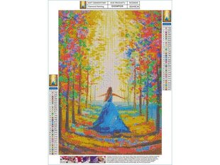 Teemantmosaiik Allee 30x40cm цена и информация | Алмазная мозаика | kaup24.ee