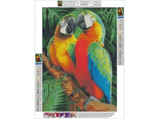 Teemantmosaiik Värvilised papagoid 30x40cm hind ja info | Teemantmaalid, teemanttikandid | kaup24.ee