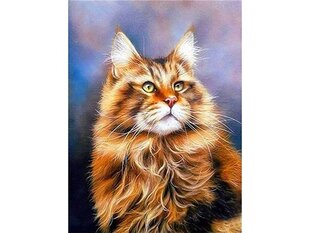 Teemantmosaiik Maine Coon 30x40cm hind ja info | Teemantmaalid, teemanttikandid | kaup24.ee