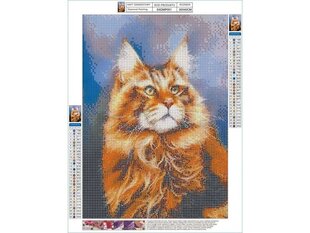 Teemantmosaiik Maine Coon 30x40cm hind ja info | Teemantmaalid, teemanttikandid | kaup24.ee